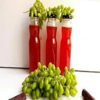 ترشیجات و شور خانگی