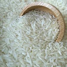برنج شمال هاشمی
